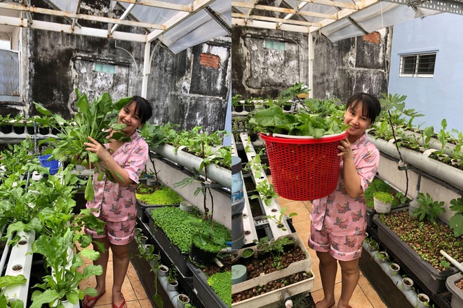 Người đàn ông trồng rau, nuôi cá trên nóc nhà tặng mẹ và con thơ - 11 Người đàn ông trồng rau, nuôi cá trên nóc nhà tặng mẹ và con thơ - 11