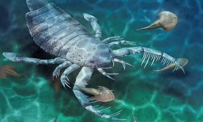 Phát hiện hóa thạch bọ cạp biển khổng lồ ở Trung Quốc - 1