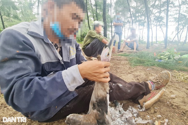 Tận diệt chim trời, nướng ngay trong rừng - 4 Tận diệt chim trời, nướng ngay trong rừng - 4