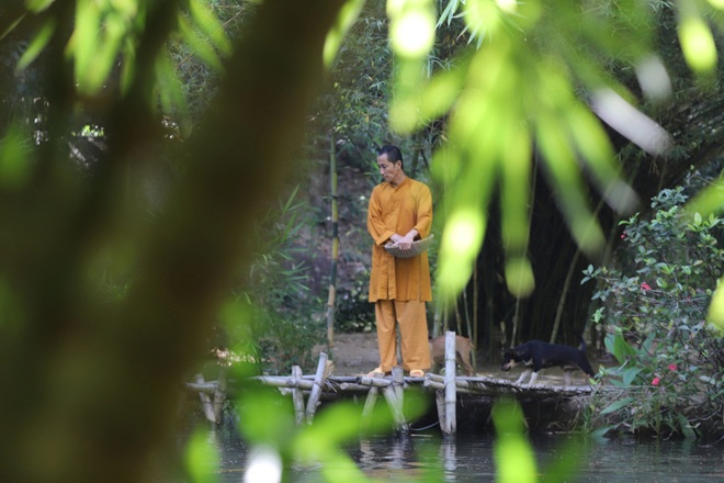 Conservation area of ​​nearly 100 bamboo species on Son Tra peninsula - 6