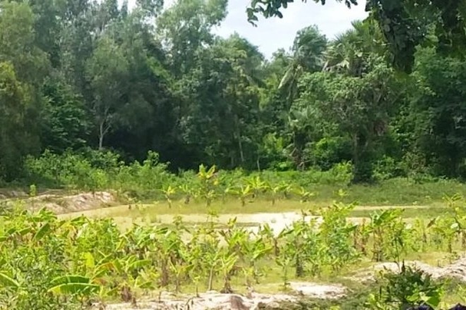 Hồ ao, hố công trình quanh nhà thành bẫy với trẻ em mùa mưa lũ - 2 Hồ ao, hố công trình quanh nhà thành bẫy với trẻ em mùa mưa lũ - 2