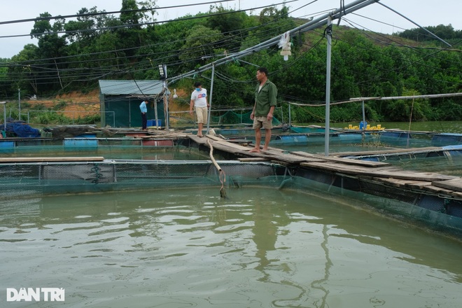 Chuyện thoát nghèo ở huyện miền núi Thanh Hóa - 2 Chuyện thoát nghèo ở huyện miền núi Thanh Hóa - 2