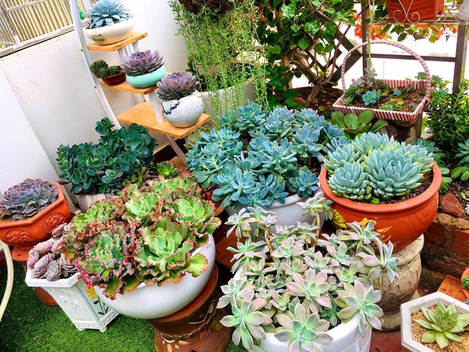 Ấn tượng ngôi nhà sen đá của gia đình ở Mộc Châu - 3 Ấn tượng ngôi nhà sen đá của gia đình ở Mộc Châu - 3