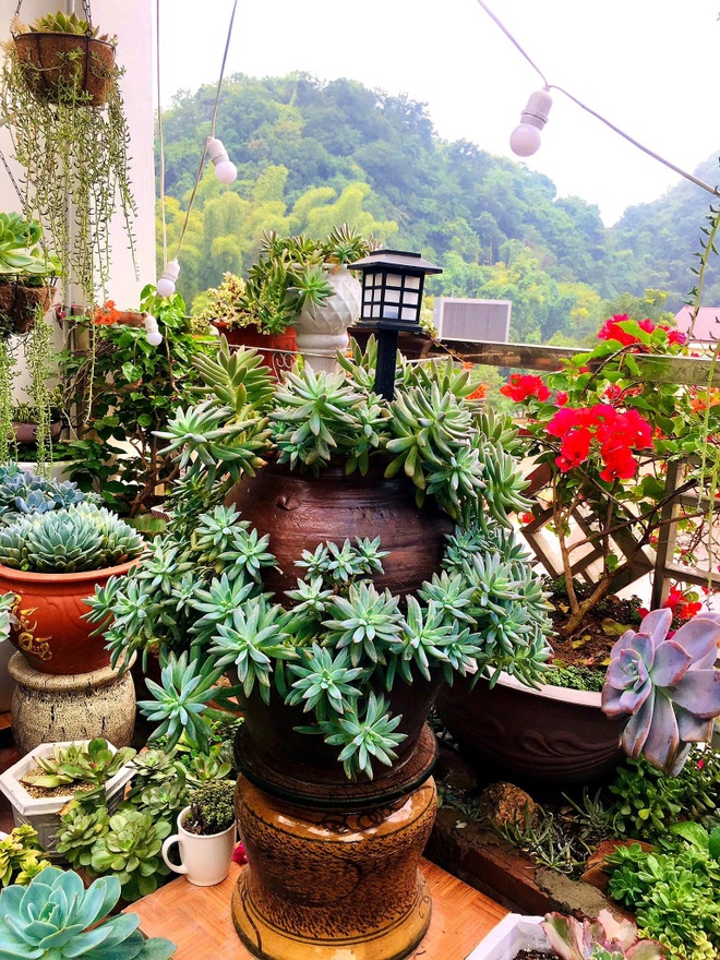Ấn tượng ngôi nhà sen đá của gia đình ở Mộc Châu - 7 Ấn tượng ngôi nhà sen đá của gia đình ở Mộc Châu - 7