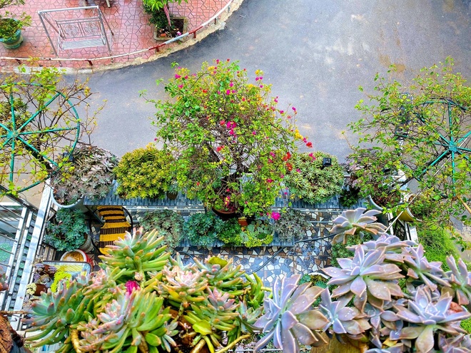 Ấn tượng ngôi nhà sen đá của gia đình ở Mộc Châu - 2 Ấn tượng ngôi nhà sen đá của gia đình ở Mộc Châu - 2
