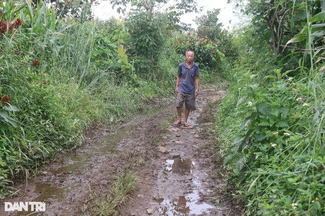 Không bố, mẹ thoi thóp đợi 