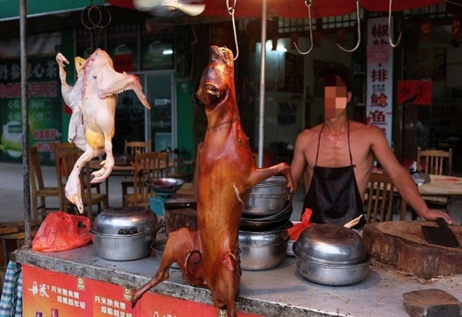 Có nên luật hóa việc cấm giết mổ, ăn thịt chó mèo? - 1