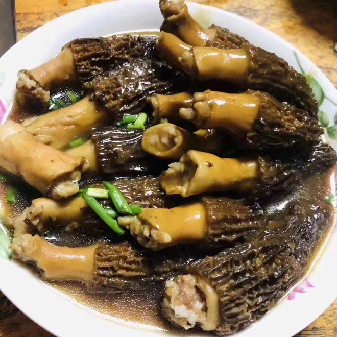 Loại nấm sần sùi, xấu xí nhưng quý như vàng, giá hơn chục triệu đồng/kg - 4 Loại nấm sần sùi, xấu xí nhưng quý như vàng, giá hơn chục triệu đồng/kg - 4