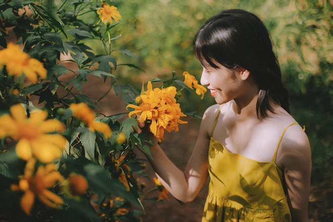 Ngắm mùa hoa dã quỳ vàng rực rỡ của thiếu nữ xứ Nghệ - 10