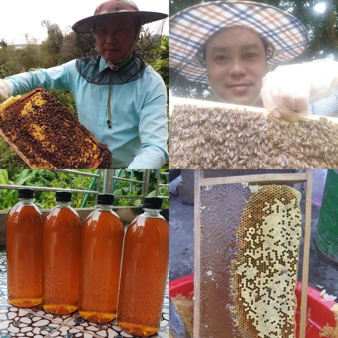 Những sai lầm khi bảo quản mật ong nhiều người mắc phải - 2 Những sai lầm khi bảo quản mật ong nhiều người mắc phải - 2