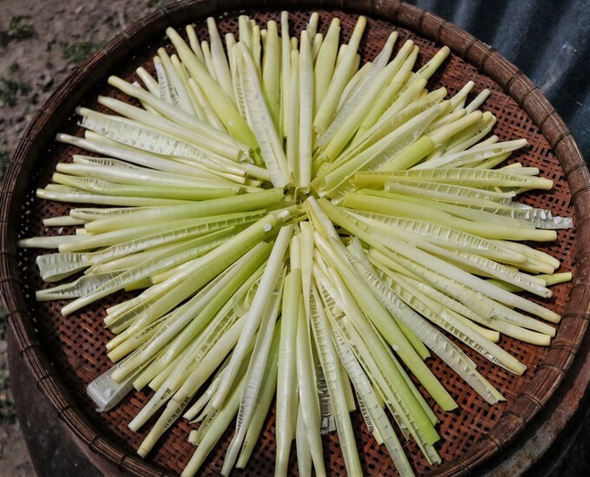 7 types of wild vegetables but hard to resist, only available in the floating season in the West - 9