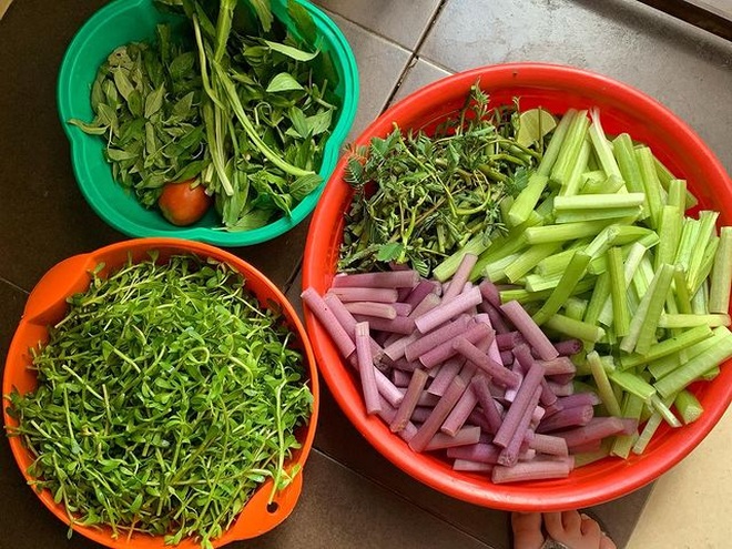 7 kinds of wild vegetables but hard to resist, only available in the floating season in the West - 7