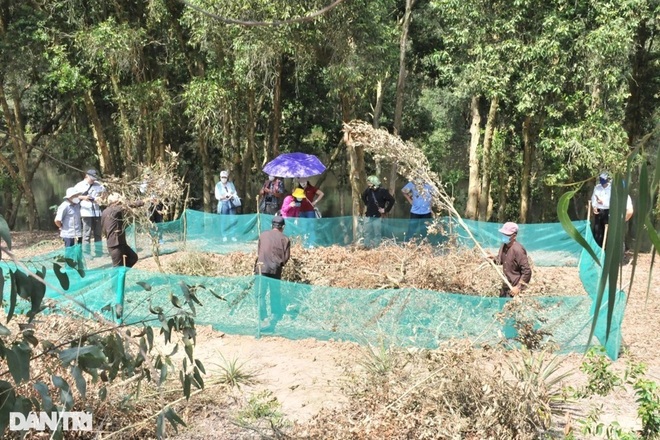 Đột nhập Vườn quốc gia Tràm Chim trước khi mở cửa đón khách trở lại - 9 Đột nhập Vườn quốc gia Tràm Chim trước khi mở cửa đón khách trở lại - 9