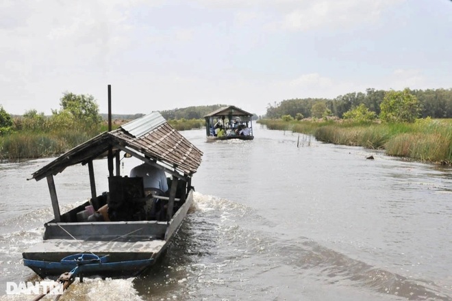 Đột nhập Vườn quốc gia Tràm Chim trước khi mở cửa đón khách trở lại - 3 Đột nhập Vườn quốc gia Tràm Chim trước khi mở cửa đón khách trở lại - 3