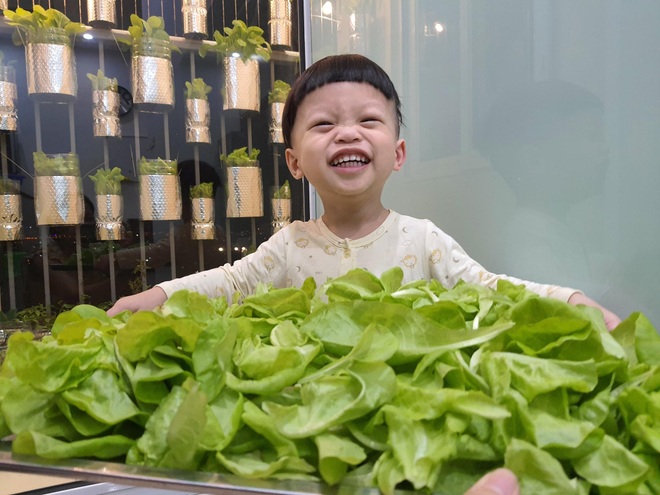 Mẹ bỉm sữa tại Hà Nội xin ve chai biến 3 m2 thành vườn treo xanh mướt - 9 Mẹ bỉm sữa tại Hà Nội xin ve chai biến 3 m2 thành vườn treo xanh mướt - 9