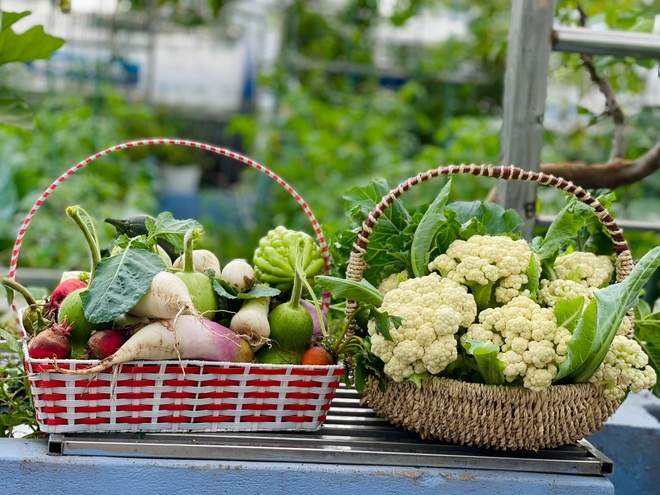 Hà Nội: Khu vườn sân thượng sum suê rau trái, nổi tiếng khắp mạng xã hội - 4