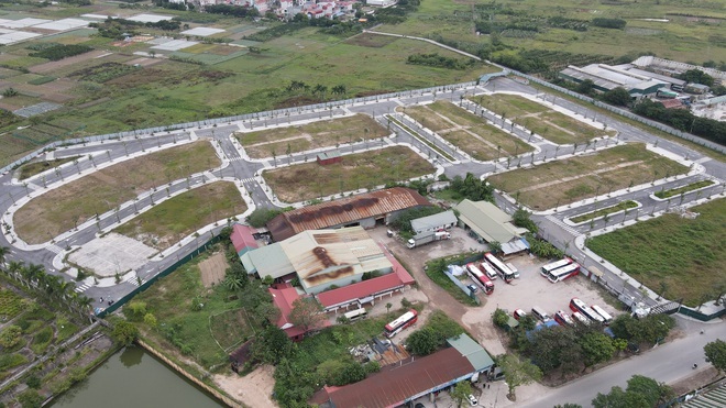 Vụ Vimedimex: Hủy kết quả trúng đấu giá, người mua có được hoàn tiền? - 1 Vụ Vimedimex: Hủy kết quả trúng đấu giá, người mua có được hoàn tiền? - 1