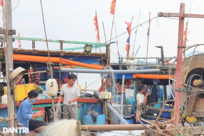 Mỗi chuyến ra khơi 2 ngày đêm, thu nhập ngư dân chỉ đạt khoảng 100.000 đồng - 3 Mỗi chuyến ra khơi 2 ngày đêm, thu nhập ngư dân chỉ đạt khoảng 100.000 đồng - 3