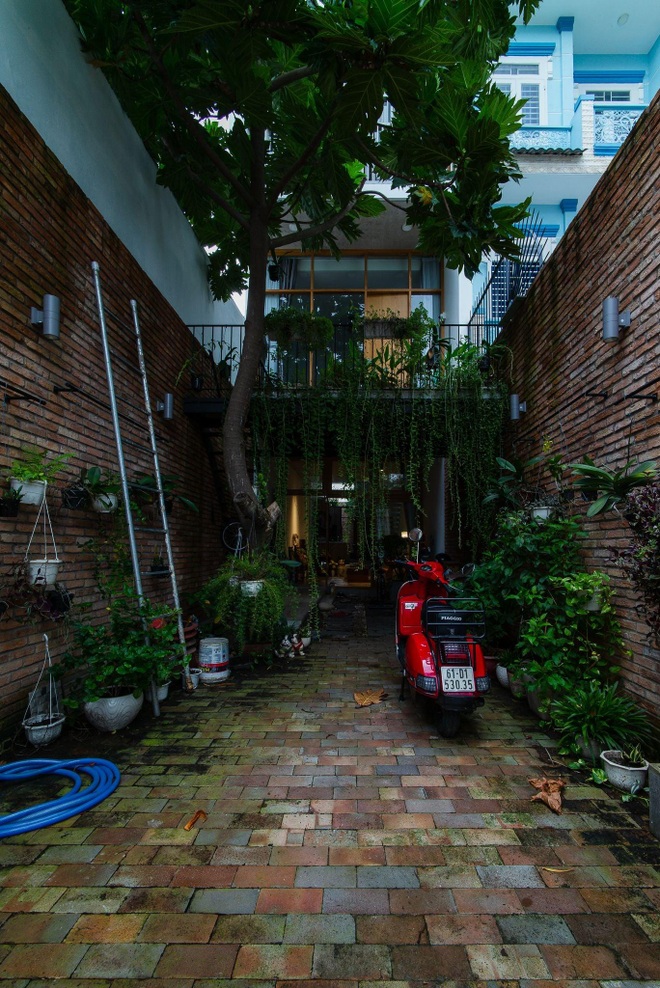 Nhà ống ở TPHCM sâu 30 m vẫn ngập ánh sáng, vườn cây xanh mướt - 2 Nhà ống ở TPHCM sâu 30 m vẫn ngập ánh sáng, vườn cây xanh mướt - 2