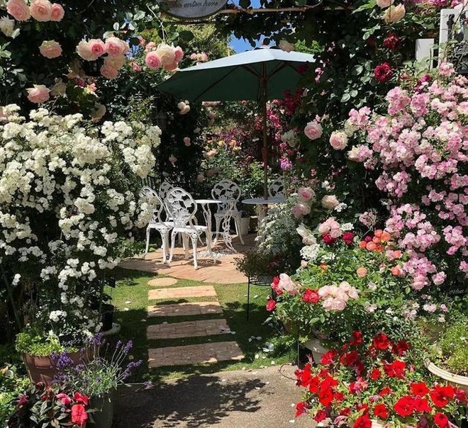 Vườn hoa hồng là một khu vườn tuyệt đẹp, nơi bạn có thể chìm đắm trong vẻ đẹp của những bông hoa hồng đủ màu sắc, kết hợp với những cây cối và đáp ứng nhu cầu tinh thần, giúp bạn giải trí và thư giãn.