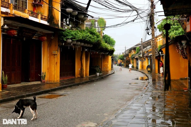 Phố cổ Hội An vắng lặng trong ngày đầu mở cửa đón khách trở lại - 2 Phố cổ Hội An vắng lặng trong ngày đầu mở cửa đón khách trở lại - 2