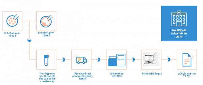 Triển khai kỹ thuật PGT-M trong sàng lọc phôi tiền làm tổ các bệnh hiếm - 3
