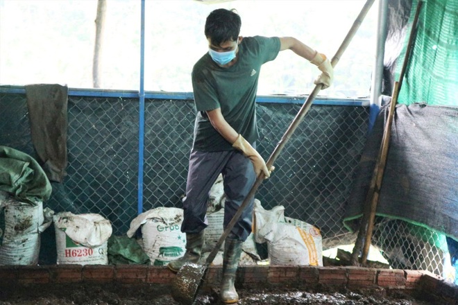 Bỏ TPHCM về quê, thu nửa tỷ đồng mỗi năm nhờ nuôi con một vốn bốn lời - 4 Bỏ TPHCM về quê, thu nửa tỷ đồng mỗi năm nhờ nuôi con một vốn bốn lời - 4