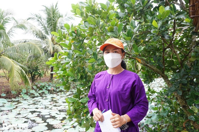 Ngành du lịch Bến Tre đón những du khách đầu tiên sau thời gian ngủ đông - 3 Ngành du lịch Bến Tre đón những du khách đầu tiên sau thời gian ngủ đông - 3