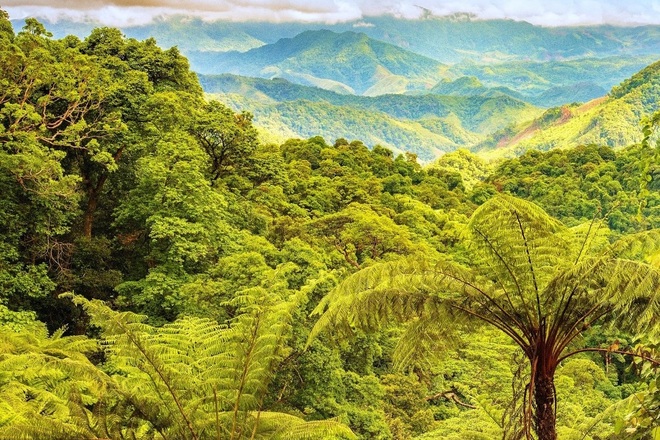 Say đắm với vẻ đẹp thơ mộng giữa núi rừng ở Động Châu - Khe Nước ...