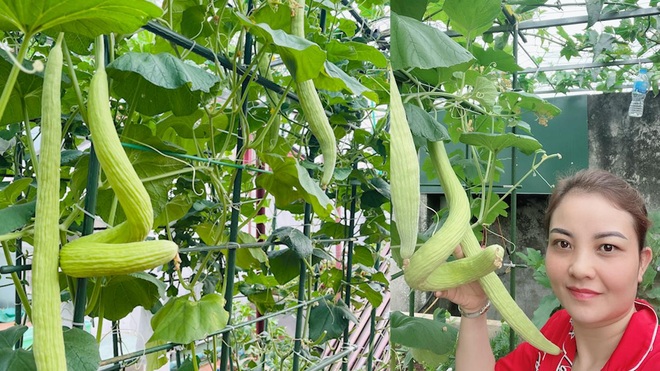 Bà mẹ ở Lào Cai vừa kinh doanh, chăm 3 con vừa làm vườn trĩu rau trái - 2