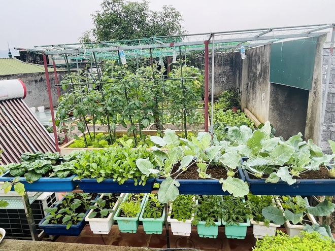 Bà mẹ ở Lào Cai vừa kinh doanh, chăm 3 con vừa làm vườn trĩu rau trái - 10