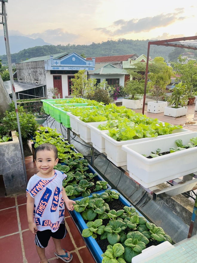 Bà mẹ ở Lào Cai vừa kinh doanh, chăm 3 con vừa làm vườn trĩu rau trái - 12