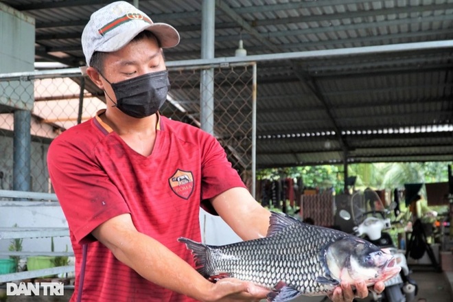 Mạnh dạn nuôi thủy quái, chàng trai miền Tây thu tiền tỷ - 3 Mạnh dạn nuôi thủy quái, chàng trai miền Tây thu tiền tỷ - 3