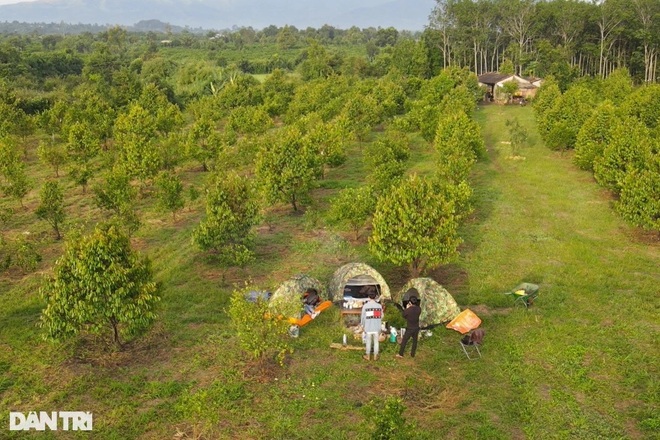 Chàng cử nhân kinh tế bỏ phố về làng trồng quýt, làm farm du lịch - 2 Chàng cử nhân kinh tế bỏ phố về làng trồng quýt, làm farm du lịch - 2