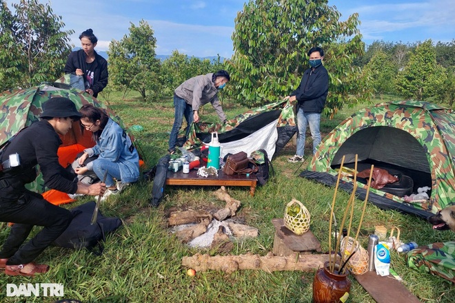Chàng cử nhân kinh tế bỏ phố về làng trồng quýt, làm farm du lịch - 7 Chàng cử nhân kinh tế bỏ phố về làng trồng quýt, làm farm du lịch - 7