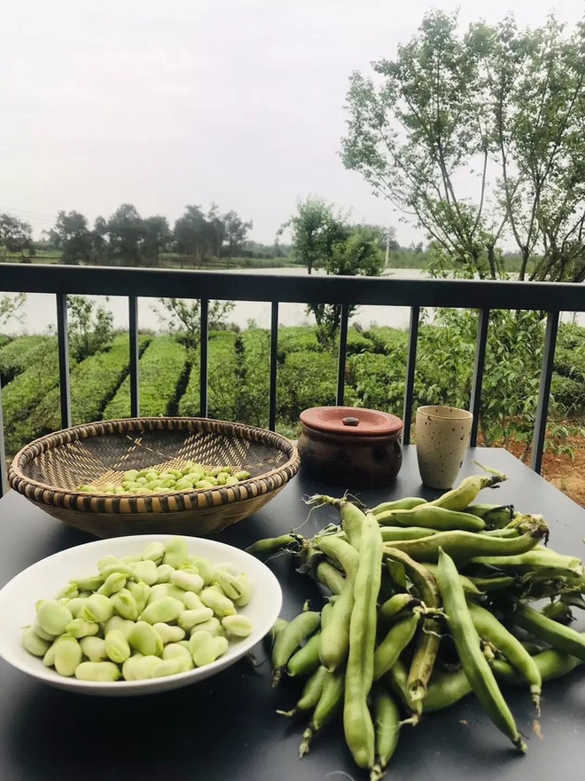Nữ giám đốc 50 tuổi từ bỏ sự nghiệp, về quê làm vườn trồng rau và chăm hoa - 11 Nữ giám đốc 50 tuổi từ bỏ sự nghiệp, về quê làm vườn trồng rau và chăm hoa - 11
