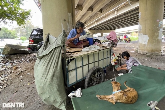 Hai vợ chồng già cùng 3 chú chó sống lang thang, lượm ve chai mưu sinh - 8 Hai vợ chồng già cùng 3 chú chó sống lang thang, lượm ve chai mưu sinh - 8