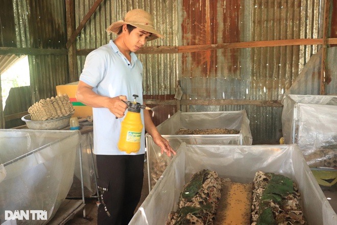 Chàng thanh niên Jrai thành công với nghề nuôi dế ở xã nghèo - 2 Chàng thanh niên Jrai thành công với nghề nuôi dế ở xã nghèo - 2