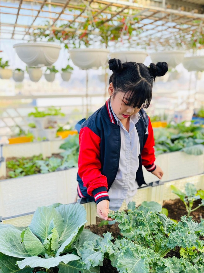 Mẹ đảm Quảng Ninh bê cả trăm bao đất lên sân thượng làm vườn như nông trại - 11 Mẹ đảm Quảng Ninh bê cả trăm bao đất lên sân thượng làm vườn như nông trại - 11