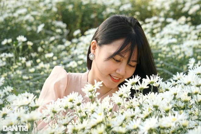 Giới trẻ thỏa sức sống ảo cùng loài hoa báo đông - 5 Giới trẻ thỏa sức sống ảo cùng loài hoa báo đông - 5