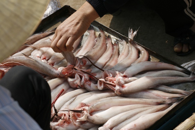 The fish dish of the poor family eats as soft as porridge and becomes a specialty with a price of several hundred thousand/kg - 1