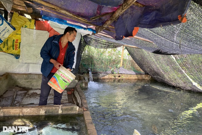 Thu tiền tỷ nhờ nuôi loài cá không xương trên đỉnh núi - 2 Thu tiền tỷ nhờ nuôi loài cá không xương trên đỉnh núi - 2