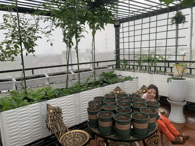 Mãn nhãn với khu vườn trên mây của một gia đình ở Hà Nội - 4