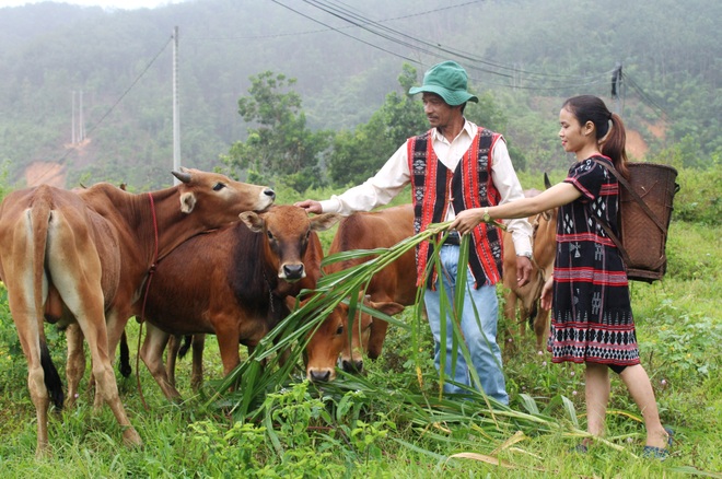 Hiệu quả từ nguồn vốn vay chính sách đối với đồng bào vùng cao - 5 Hiệu quả từ nguồn vốn vay chính sách đối với đồng bào vùng cao - 5