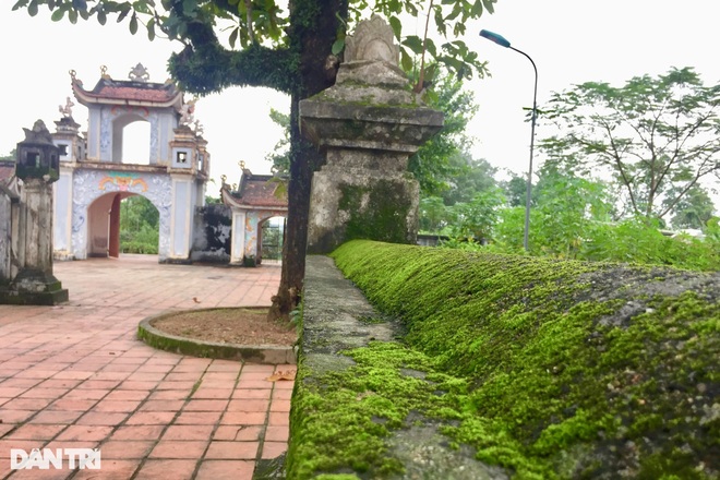 Admire the 500-year-old ancient stone tower, famous and sacred in Ha Tinh - 10