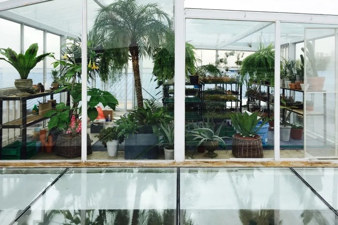 Cặp vợ chồng bỏ phố về quê, dành 6 năm làm nhà vườn 1.500m2 đẹp như tranh - 4 Cặp vợ chồng bỏ phố về quê, dành 6 năm làm nhà vườn 1.500m2 đẹp như tranh - 4