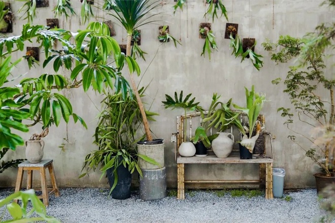 Cặp vợ chồng bỏ phố về quê, dành 6 năm làm nhà vườn 1.500m2 đẹp như tranh - 10 Cặp vợ chồng bỏ phố về quê, dành 6 năm làm nhà vườn 1.500m2 đẹp như tranh - 10