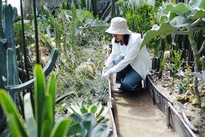 Cặp vợ chồng bỏ phố về quê, dành 6 năm làm nhà vườn 1.500m2 đẹp như tranh - 6 Cặp vợ chồng bỏ phố về quê, dành 6 năm làm nhà vườn 1.500m2 đẹp như tranh - 6