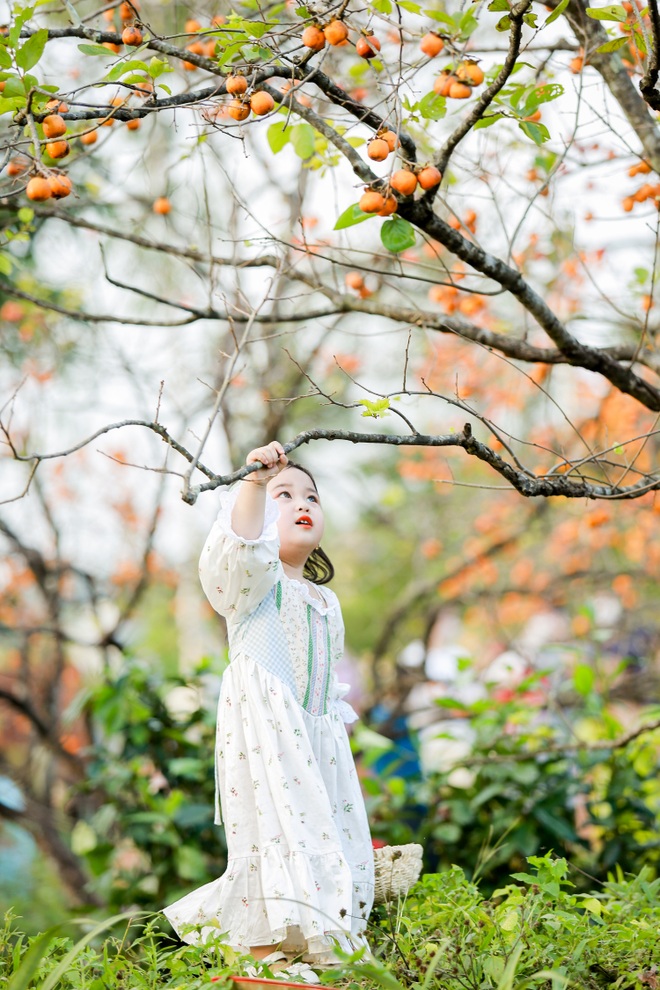 Cư dân mạng phát sốt với vẻ đẹp trong veo của cô bé vườn hồng - 4 Cư dân mạng phát sốt với vẻ đẹp trong veo của cô bé vườn hồng - 4