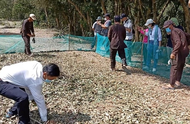 Visitors are excited to watch the removal of scrubs and field mice in Dong Thap - 8
